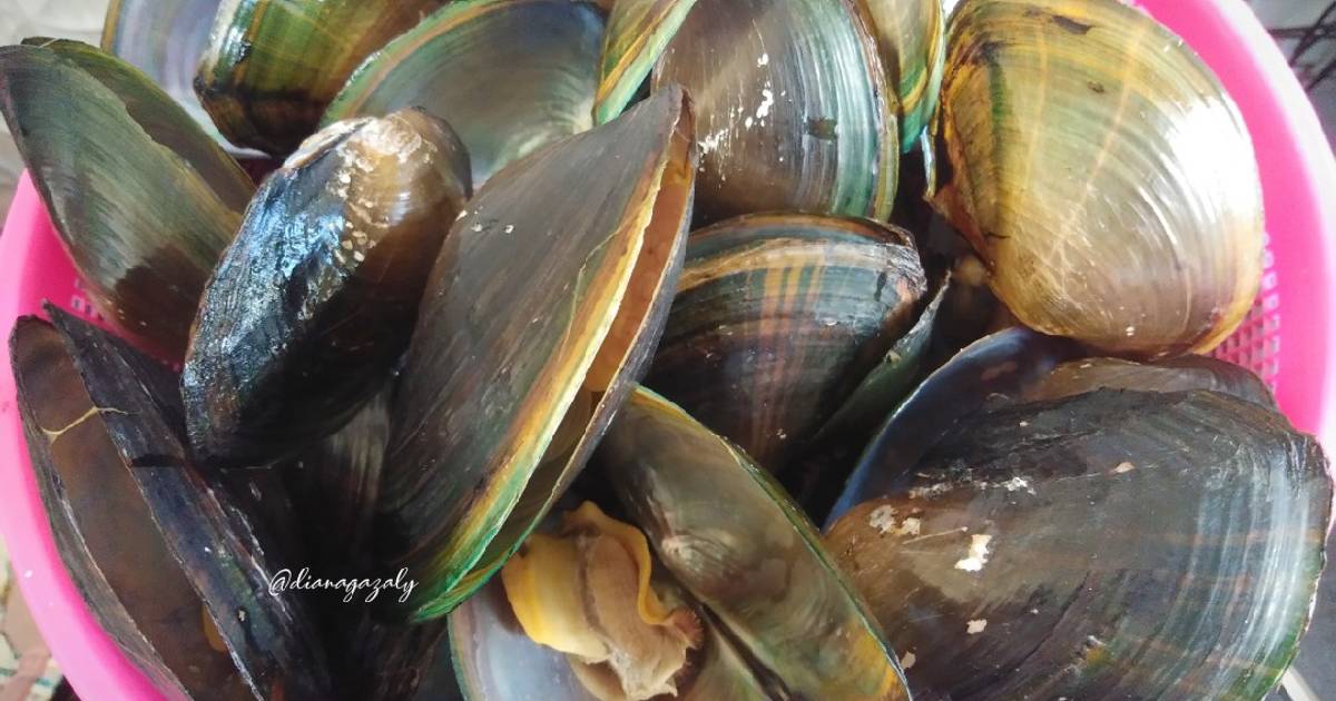 Pengelola-kerang